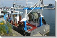 Saint-Malo (2009-06-27) Notre Dame du Verger III